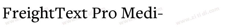 FreightText Pro Medi字体转换